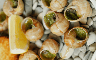 Caracoles al natural con arroz meloso y azafrán